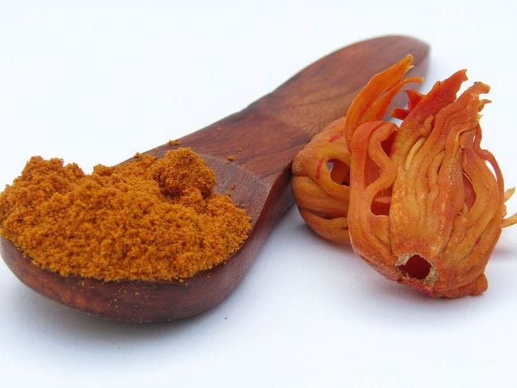 Mace Essential Oil